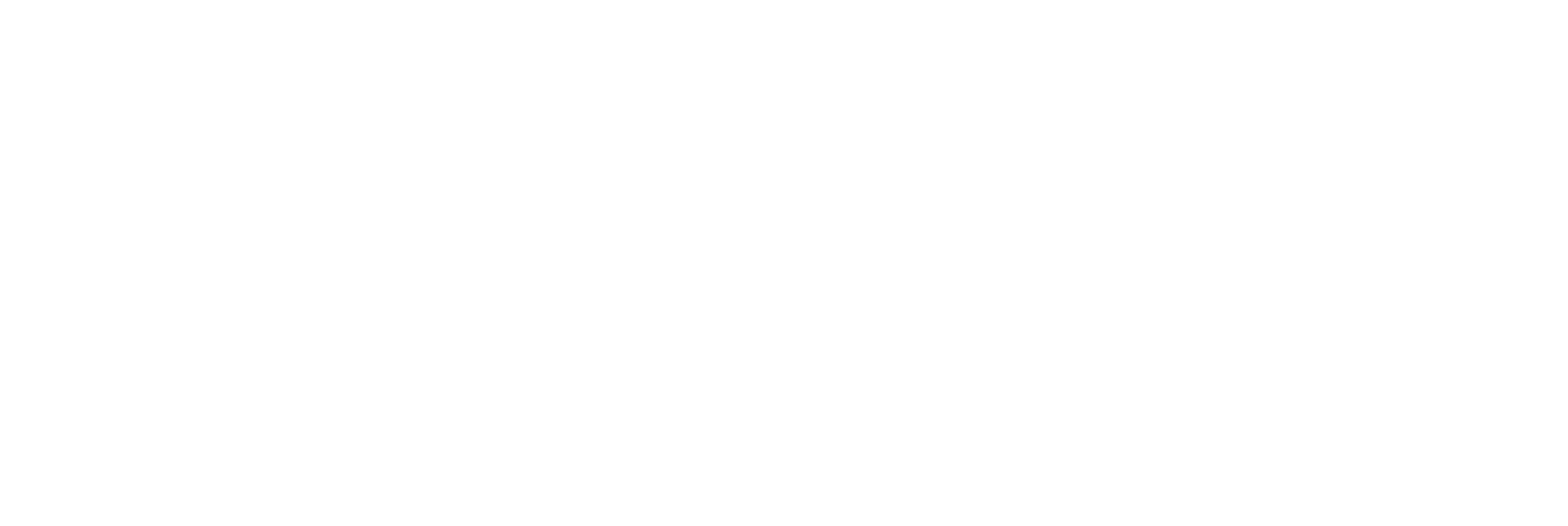 Fairy in Boots Logo